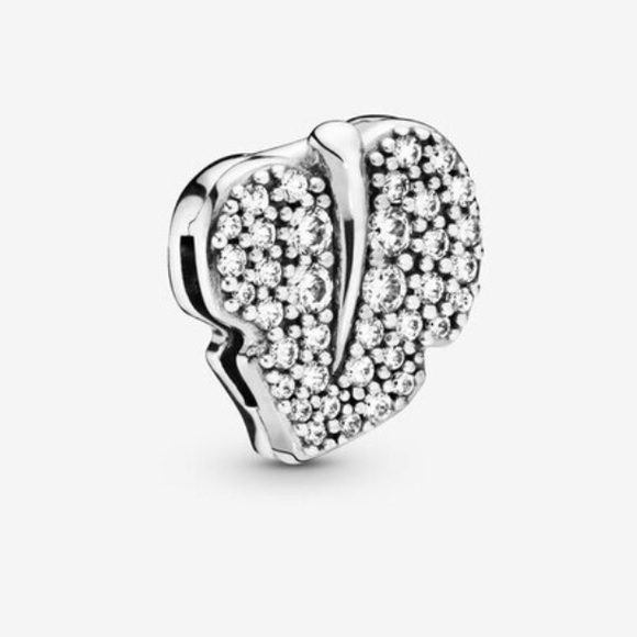 Pandora reflexions charms. - Picture 11 of 12